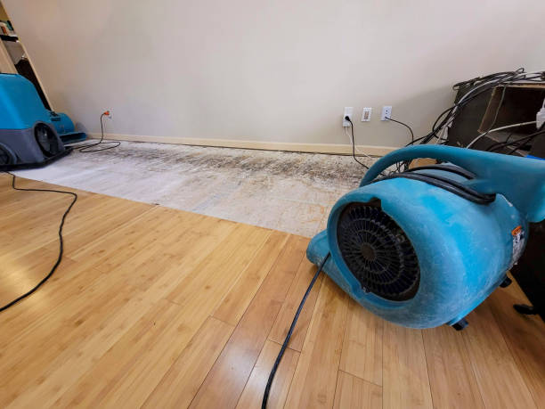 Professional Water Damage Repair technician working in Elkhorn, CA